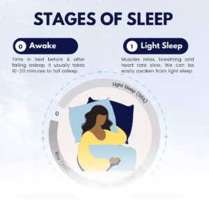 stages of sleep infographic